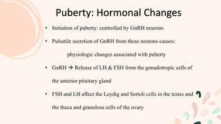 Puberty: Hormonal Changes
• Initiation of puberty: controlled by GnRH neurons
• Pulsatile secretion of GnRH from these neurons causes:
physiologic changes associated with puberty
• GnRH  Release of LH & FSH from the gonadotropic cells of
the anterior pituitary gland
• FSH and LH affect the Leydig and Sertoli cells in the testes and
the theca and granulosa cells of the ovary
 