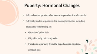 Puberty: Hormonal Changes
• Adrenal cortex produces hormones responsible for adrenarche
• Adrenal gland is responsible for making hormones including
androgens contributing to:
• Growth of pubic hair
• Oily skin, oily hair, body odor
• Functions separately from the hypothalamic-pituitary-
gonadal axis
 