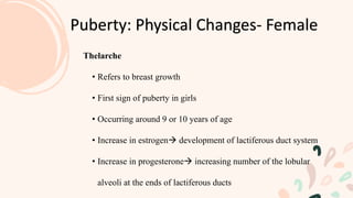 Puberty: Physical Changes- Female
Thelarche
• Refers to breast growth
• First sign of puberty in girls
• Occurring around 9 or 10 years of age
• Increase in estrogen development of lactiferous duct system
• Increase in progesterone increasing number of the lobular
alveoli at the ends of lactiferous ducts
 