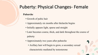 Puberty: Physical Changes- Female
Pubarche
• Growth of pubic hair
• Approximately six months after thelarche begins
• Initially appears light, sparse and straight
• Later becomes coarse, thick, and dark throughout the course of
puberty
• Approximately two years after pubarche
• Axillary hair will begin to grow, a secondary sexual
characteristic mediated by testosterone
 