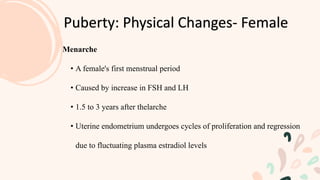 Puberty: Physical Changes- Female
Menarche
• A female's first menstrual period
• Caused by increase in FSH and LH
• 1.5 to 3 years after thelarche
• Uterine endometrium undergoes cycles of proliferation and regression
due to fluctuating plasma estradiol levels
 
