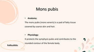 • Anatomy:
The mons pubis (mons veneris) is a pad of fatty tissue
covered by coarse skin and hair.
• Physiology:
It protects the symphysis pubis and contributes to the
rounded contour of the female body.
Mons pubis
Folliculitits
 