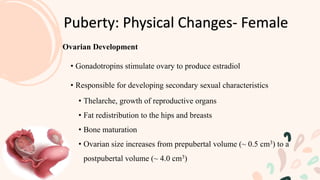 Puberty: Physical Changes- Female
Ovarian Development
• Gonadotropins stimulate ovary to produce estradiol
• Responsible for developing secondary sexual characteristics
• Thelarche, growth of reproductive organs
• Fat redistribution to the hips and breasts
• Bone maturation
• Ovarian size increases from prepubertal volume (~ 0.5 cm3) to a
postpubertal volume (~ 4.0 cm3)
 