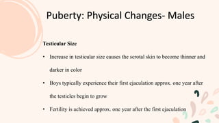 Puberty: Physical Changes- Males
Testicular Size
• Increase in testicular size causes the scrotal skin to become thinner and
darker in color
• Boys typically experience their first ejaculation approx. one year after
the testicles begin to grow
• Fertility is achieved approx. one year after the first ejaculation
 