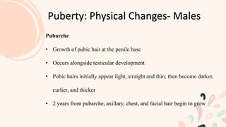 Puberty: Physical Changes- Males
Pubarche
• Growth of pubic hair at the penile base
• Occurs alongside testicular development
• Pubic hairs initially appear light, straight and thin; then become darker,
curlier, and thicker
• 2 years from pubarche, axillary, chest, and facial hair begin to grow
 