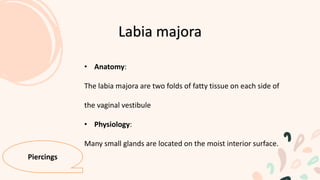 • Anatomy:
The labia majora are two folds of fatty tissue on each side of
the vaginal vestibule
• Physiology:
Many small glands are located on the moist interior surface.
Labia majora
Piercings
 