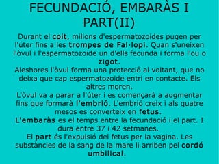 A la pubertat els nois ja comencen a crear espermatozoides. 