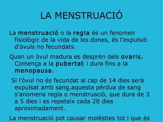 CÈL·LULES REPRODUCTORES (II) L'òvul : És la cèl·lula reproductora  femenina . 
