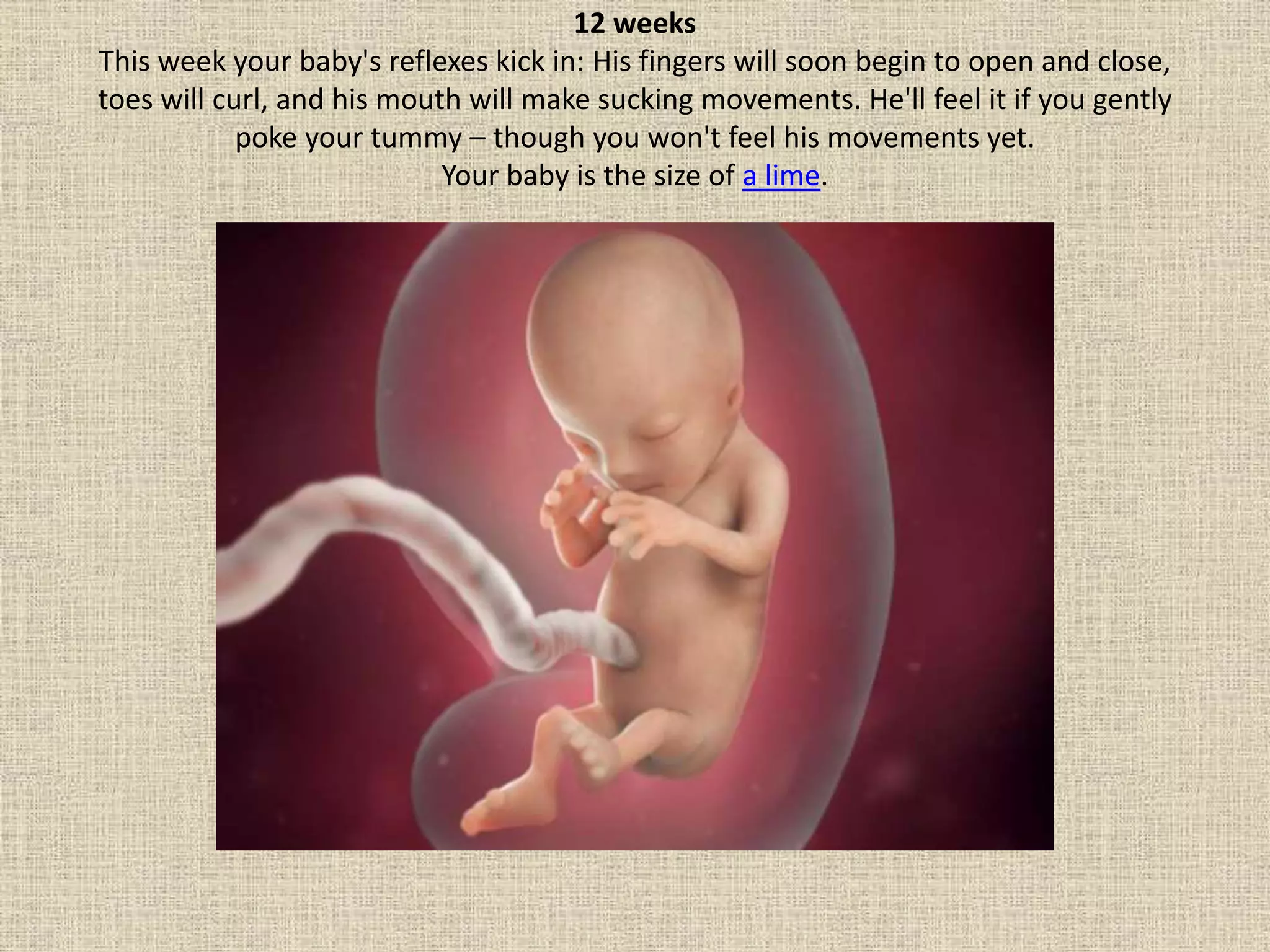 Can You Feel Baby Move At 12 Weeks