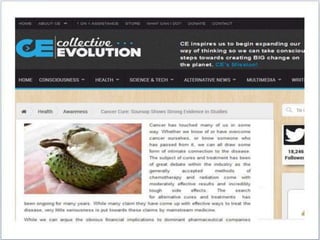 1FF Business Presentation