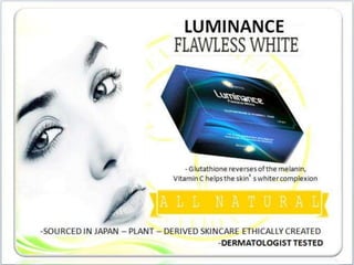 1FF Business Presentation