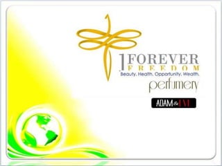 1FF Business Presentation