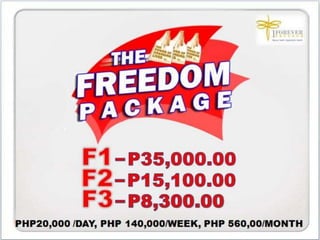 1FF Business Presentation