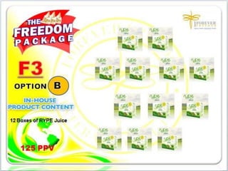 1FF Business Presentation