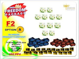 1FF Business Presentation