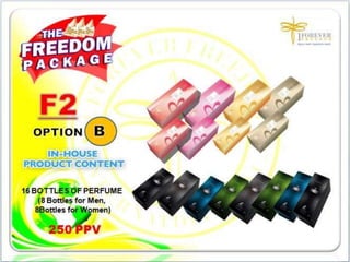 1FF Business Presentation