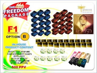 1FF Business Presentation