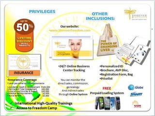 1FF Business Presentation