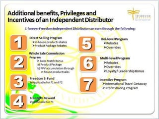 1FF Business Presentation