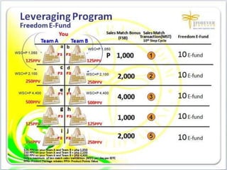 1FF Business Presentation
