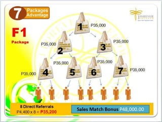 1FF Business Presentation