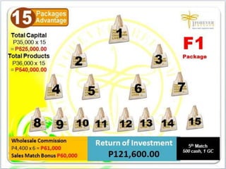 1FF Business Presentation