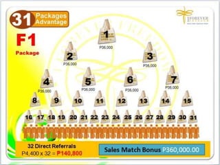 1FF Business Presentation