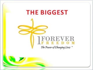 1FF Business Presentation