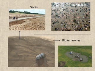 Inundações
Secas




        Rio Amazonas
 