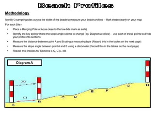 Methodology
Identify 3 sampling sites across the width of the beach to measure your beach profiles – Mark these clearly on your map
For each Site:-
 •    Place a Ranging Pole at A (as close to the low-tide mark as safe)
 •    Identify the key points where the slope angle seems to change (eg. Diagram A below) – use each of these points to divide
      your profile into sections
 •    Measure the distance between point A and B using a measuring tape (Record this in the tables on the next page)
 •    Measure the slope angle between point A and B using a clinometer (Record this in the tables on the next page)
 •    Repeat this process for Sections B-C, C-D, etc



         Diagram A
 