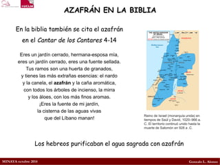 MINAYA octubre 2014 
Gonzalo L. Alonso 
AZAFRÁN EN LA BIBLIA 
En la biblia también se cita el azafrán en el Cantar de los Cantares 4-14 
Eres un jardín cerrado, hermana-esposa mía, 
eres un jardín cerrado, eres una fuente sellada. 
Tus ramos son una huerta de granados, 
y tienes las más extrañas esencias: el nardo 
y la canela, el azafrány la caña aromática, 
con todos los árboles de incienso, la mirra 
y los áloes, con los más finos aromas. 
¡Eres la fuente de mi jardín, 
la cisterna de las aguas vivas 
que del Líbano manan! 
Loshebreospurificabanelaguasagradaconazafrán 
Reino de Israel (monarquía unida) en tiempos de SaúlyDavid, 1020–966 a. C. El territorio continuó unido hasta la muerte deSalomónen 928 a .C.  
