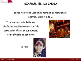 MINAYA octubre 2014 
Gonzalo L. Alonso 
AZAFRÁN EN LA INDIA 
En las Achivo de Cachemira también se menciona el azafrán. Siglo V a de C. 
Tras la muerte de Buda, sus discípulos establecieron el azafrán como color oficial en sus túnicas, como símbolo de sabiduría 
El tilak  