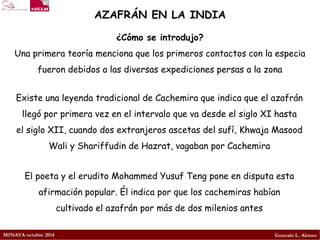 MINAYA octubre 2014 
Gonzalo L. Alonso 
AZAFRÁN EN LA INDIA 
¿Cómo se introdujo? 
Una primera teoría menciona que los primeros contactos con la especia fueron debidos a las diversas expedicionespersasa la zona 
Existe unaleyendatradicional de Cachemira que indica que el azafrán llegó por primera vez en el intervalo que va desde elsiglo XI hasta elsiglo XII, cuando dos extranjeros ascetas del sufí,Khwaja Masood Waliy Shariffudin de Hazrat, vagaban por Cachemira 
El poeta y el erudito Mohammed Yusuf Teng pone en disputa esta afirmación popular. Él indica por que los cachemiras habían cultivado el azafrán por más de dos milenios antes  