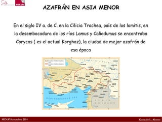 MINAYA octubre 2014 
Gonzalo L. Alonso 
AZAFRÁN EN ASIA MENOR 
En el siglo IV a. de C. en la Cilicia Trachea, país de los lomitis, en la desembocadura de los ríos Lamus y Caliadumus se encontraba Corycos (es el actual Korghoz), la ciudad de mejor azafrán de esa época  