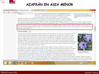 MINAYA octubre 2014 
Gonzalo L. Alonso 
AZAFRÁN EN ASIA MENOR  