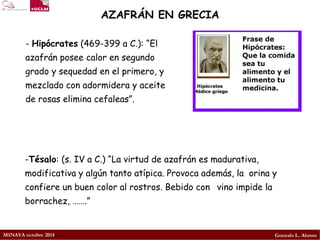 MINAYA octubre 2014 
Gonzalo L. Alonso 
AZAFRÁN EN GRECIA 
-Hipócrates(469-399 a C.): “El azafrán posee calor en segundo grado y sequedad en el primero, y mezclado con adormidera y aceite de rosas elimina cefaleas”. 
-Tésalo: (s. IV a C.) “La virtud de azafrán es madurativa, modificativa y algún tanto atípica. Provoca además, la orina y confiere un buen color al rostros. Bebido con vino impide la borrachez, …….”  
