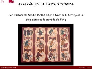 MINAYA octubre 2014 
Gonzalo L. Alonso 
AZAFRÁN EN LA ÉPOCA VISIGODA 
San Isidoro de Sevilla (560-630) lo cita en sus Etimologías un siglo antes de la entrada de Tariq  