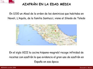 MINAYA octubre 2014 
Gonzalo L. Alonso 
AZAFRÁN EN LA EDAD MEDIA 
En 1230 un Abad de la orden de los dominicos que habitaba en Naveli, L’Aquila, de la familia Santucci, viene al Sínodo de Toledo 
En el siglo XIII la cocina hispano-magrebí recoge infinidad de recetas con azafrán lo que evidencia el gran uso de azafrán en España en esa época  