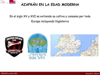 MINAYA octubre 2014 
Gonzalo L. Alonso 
AZAFRÁN EN LA EDAD MODERNA 
En el siglo XV y XVI se extiende su cultivo y consumo por toda Europa incluyendo Inglaterra  