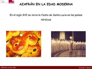 MINAYA octubre 2014 
Gonzalo L. Alonso 
AZAFRÁN EN LA EDAD MODERNA 
En el siglo XVI se inicia la fiesta de Santa Lucia en los países nórdicos  