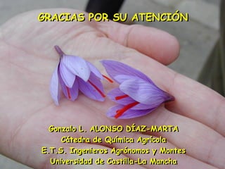 MINAYA octubre 2014 
Gonzalo L. Alonso 
GRACIAS POR SU ATENCIÓN 
Gonzalo L. ALONSO DÍAZ-MARTA 
Cátedra de Química Agrícola 
E.T.S. Ingenieros Agrónomos y Montes 
Universidad de Castilla-La Mancha 