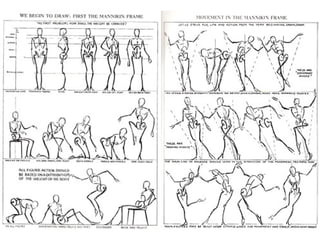 Human Body Proportions Activity