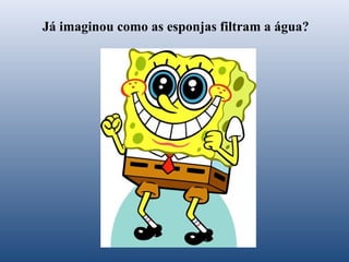 Já imaginou como as esponjas filtram a água?

 