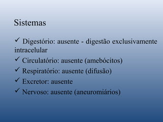 Sistemas
 Digestório: ausente - digestão exclusivamente
intracelular
 Circulatório: ausente (amebócitos)
 Respiratório: ausente (difusão)
 Excretor: ausente
 Nervoso: ausente (aneuromiários)

 