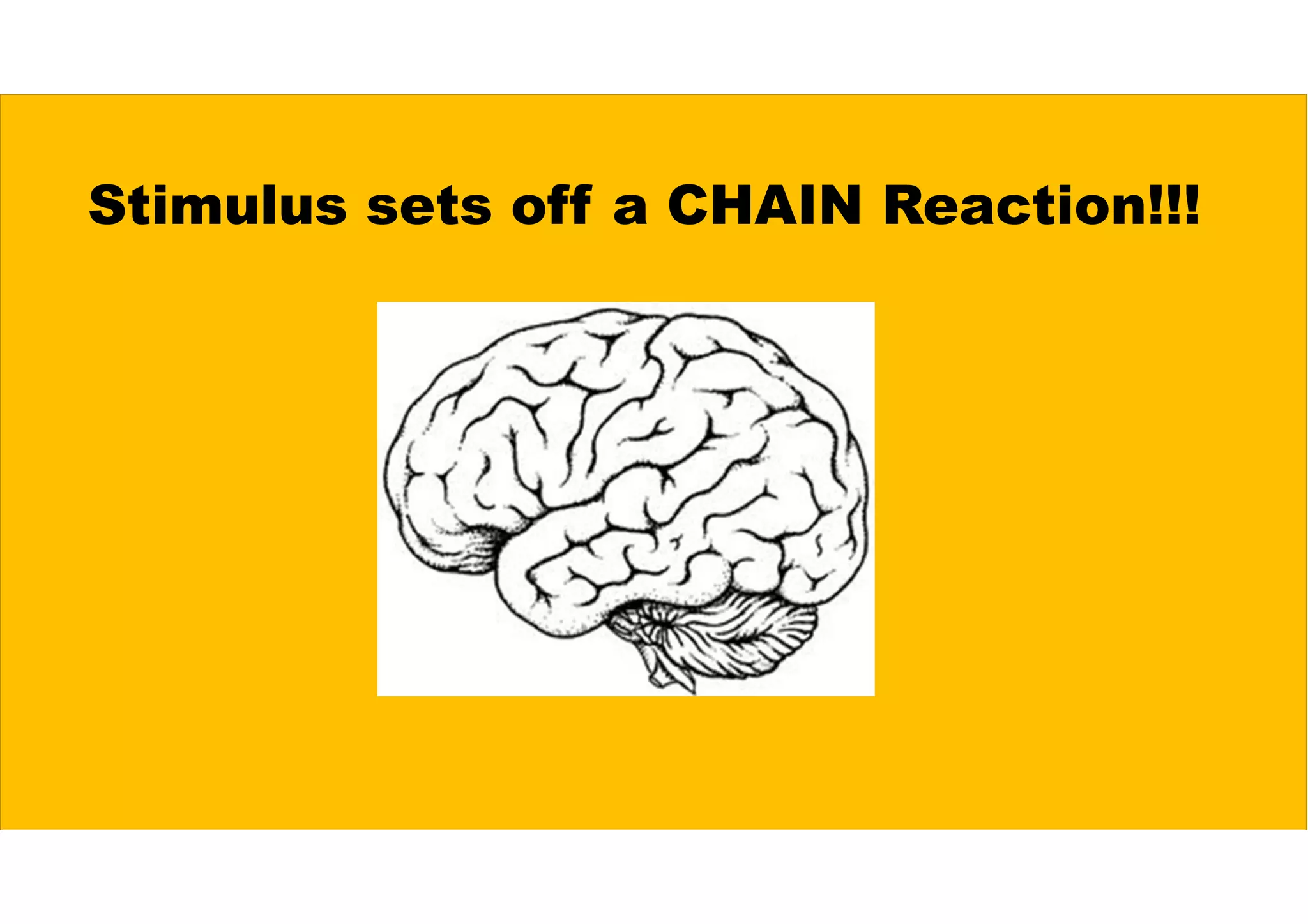 Stimulus sets off a CHAIN Reaction!!!
 