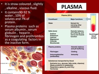 • It is straw coloured , slightly
, alkaline , viscous fluid.
• It contains90-92 %
water , 10% of
solutes and 7% of
protein.
• Plasma proteins such as
serum albumin , serum
globulin , heparin ,
fibrinogen and prothrombin
as a coagulating factors in
the inactive form.
PLASMA
 
