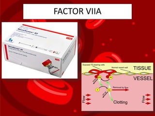 FACTOR VIIA
 