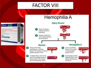 FACTOR VIII
 