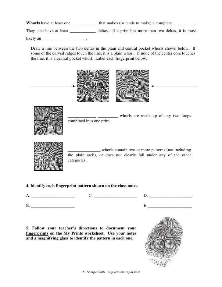 1fingerprintbasics Student 1fingerprintbasics Student