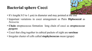 1 first lecture introduction microbiology | PPTX
